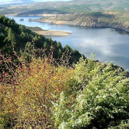 El Egio Pensionat Cervera de Buitrago Exteriör bild
