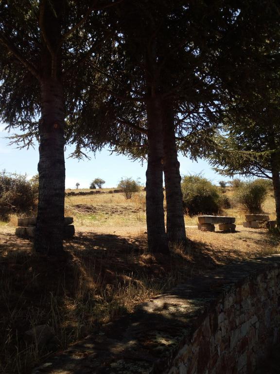 El Egio Pensionat Cervera de Buitrago Exteriör bild